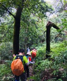 凤凰山森林公园7