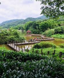 凤凰山森林公园8