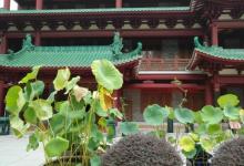 海幢寺6