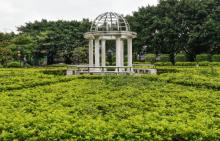 二沙岛宏城公园8