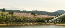 花都志惠农场13