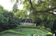山顶公园8