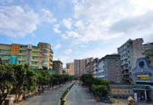荔湾区迎春花市10