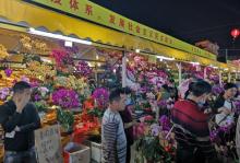 荔湾区迎春花市9