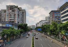 荔湾区迎春花市13