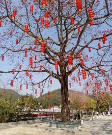 石门风景区9