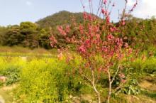 石门风景区8