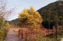 石门风景区11