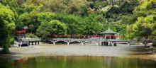 广东罗浮山风景名胜区29