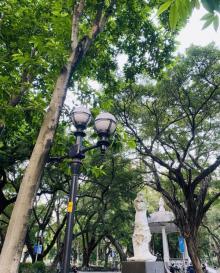 人民公园14