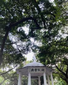 人民公园15