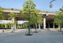 三山森林公园6