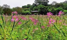 三山森林公园10