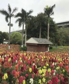三山森林公园4