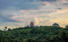 增城荔枝文化村1