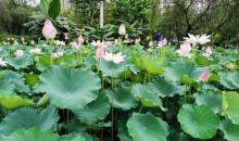 亚洲艺术公园17