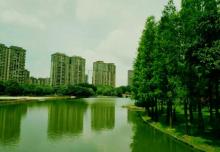 亚洲艺术公园14