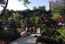 亚洲艺术公园11