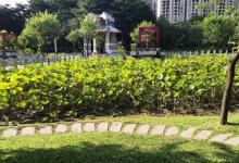 亚洲艺术公园10