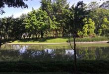 亚洲艺术公园12