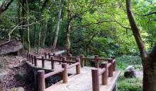 龙头山森林公园10