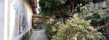 花山小镇5