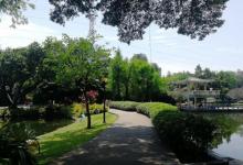 晓港公园13