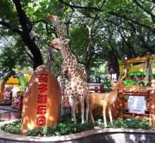 晓港公园4