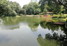 晓港公园9