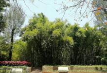 晓港公园11