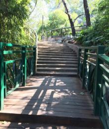晓港公园19
