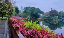 晓港公园1