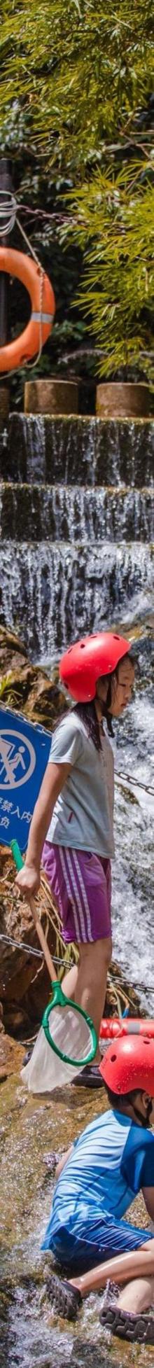 南海湾森林生态园24