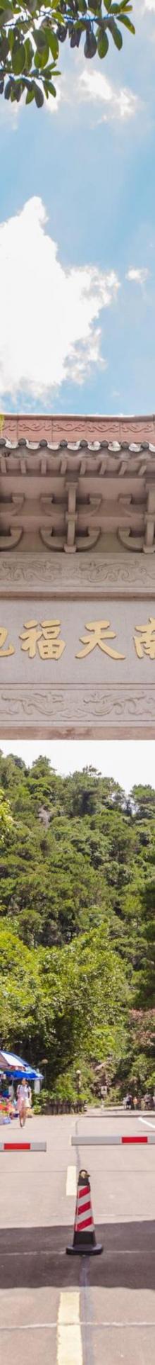南海湾森林生态园6