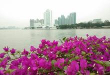 洲头咀公园4