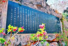 桃花涧8
