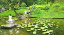 桃花涧10