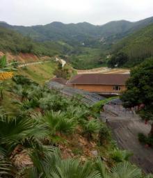 广州二龙山花园22