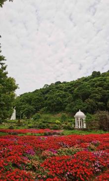 广州二龙山花园12