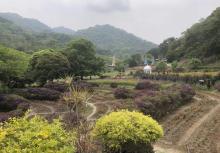 广州二龙山花园6