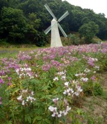 广州二龙山花园20