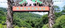 广州二龙山花园5