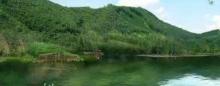 黄山鲁森林公园16