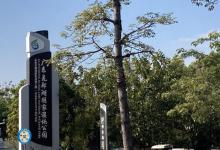 花都湖公园21