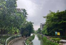 黄埔村15
