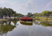 广州国际生物岛11