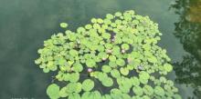 广州国际生物岛23