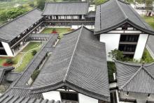 广州市文化馆(新馆)7