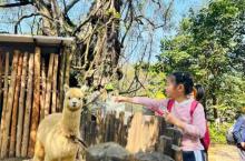 广州客天下旅游度假区5