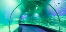 海立方海洋公园6